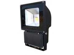 70W 110V/240v DUAL VOLTAGE IP65 LED FLOODLIGHT